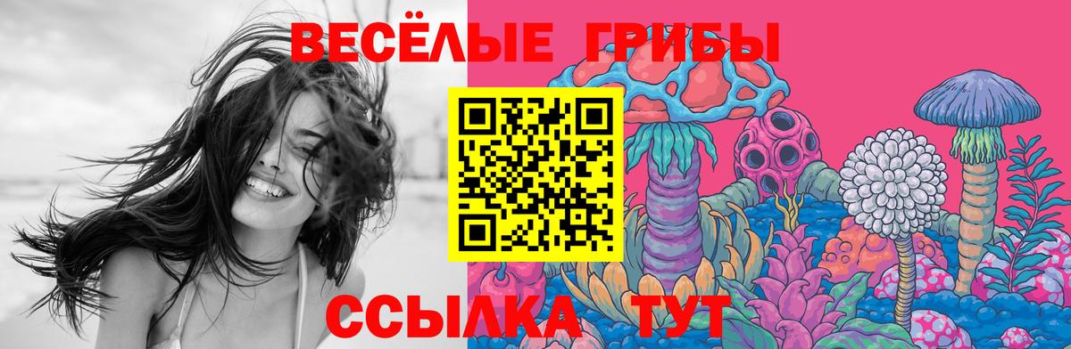 Псилоцибиновые грибы мухоморы Богородск
