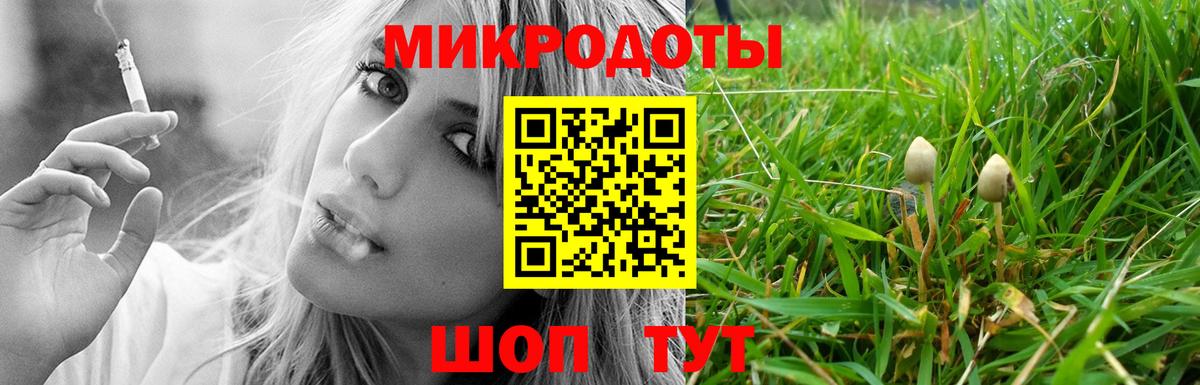 Богородск  Псилоцибиновые грибы мицелий  Вход с VPN 